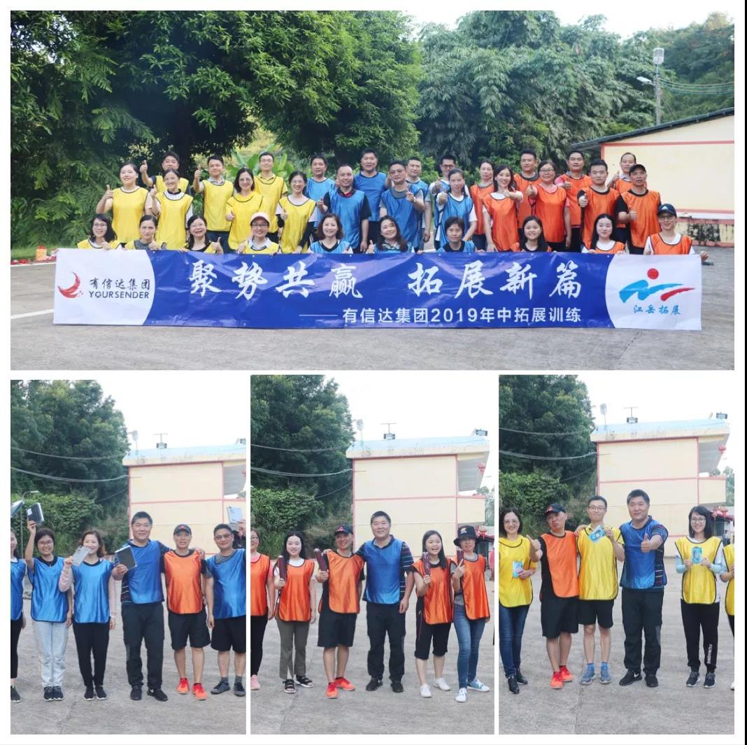 报关|运输|仓储