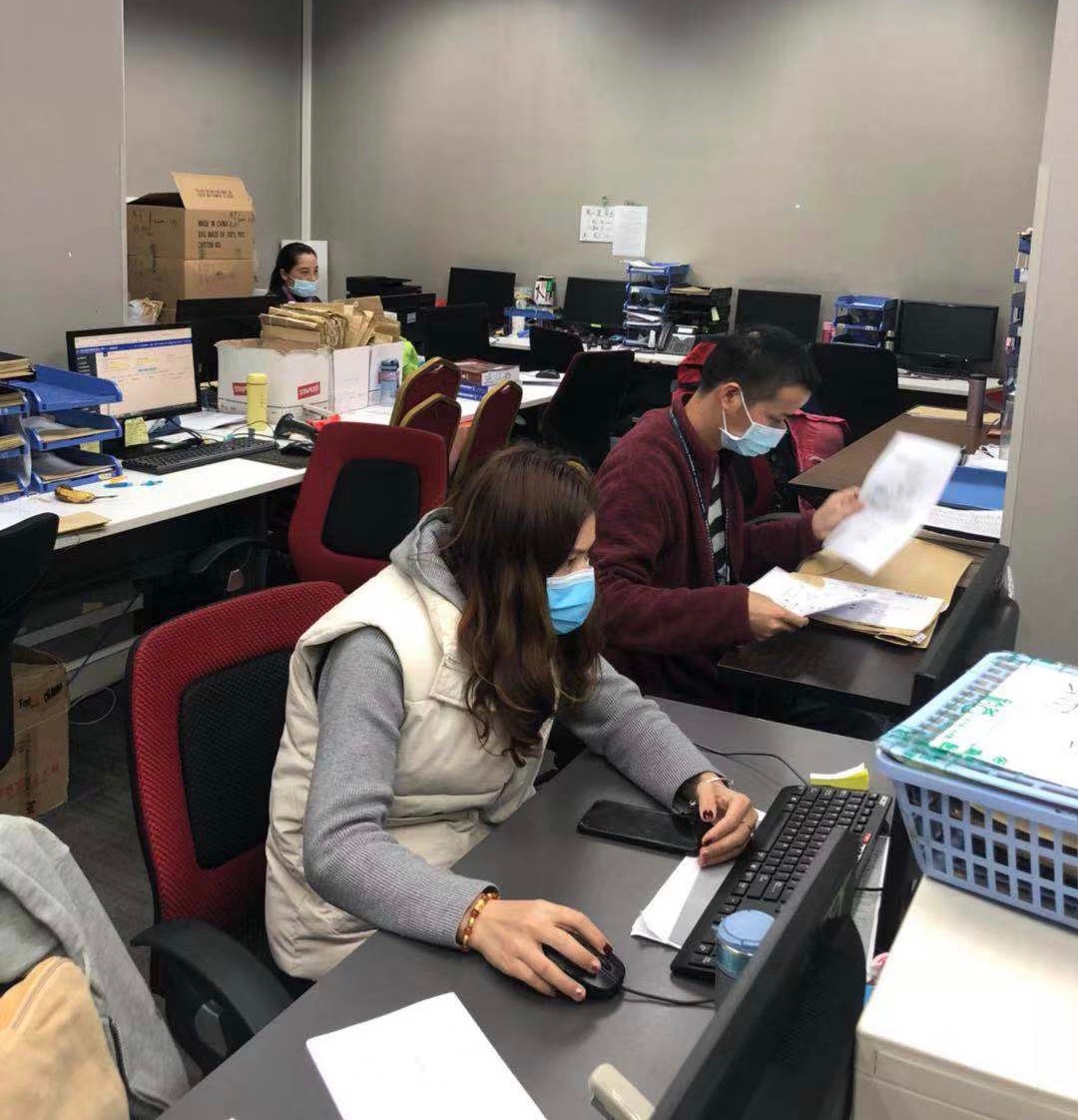 报关|运输|仓储