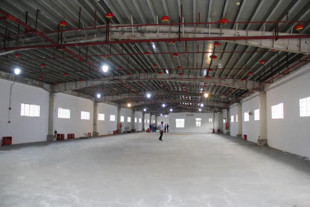 报关|运输|仓储